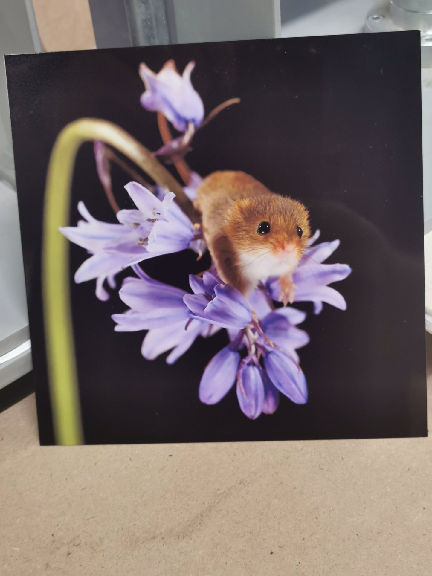 Metal Panels Square - 150 mm x 150 mm (6 inch square) - artcoasterprinting