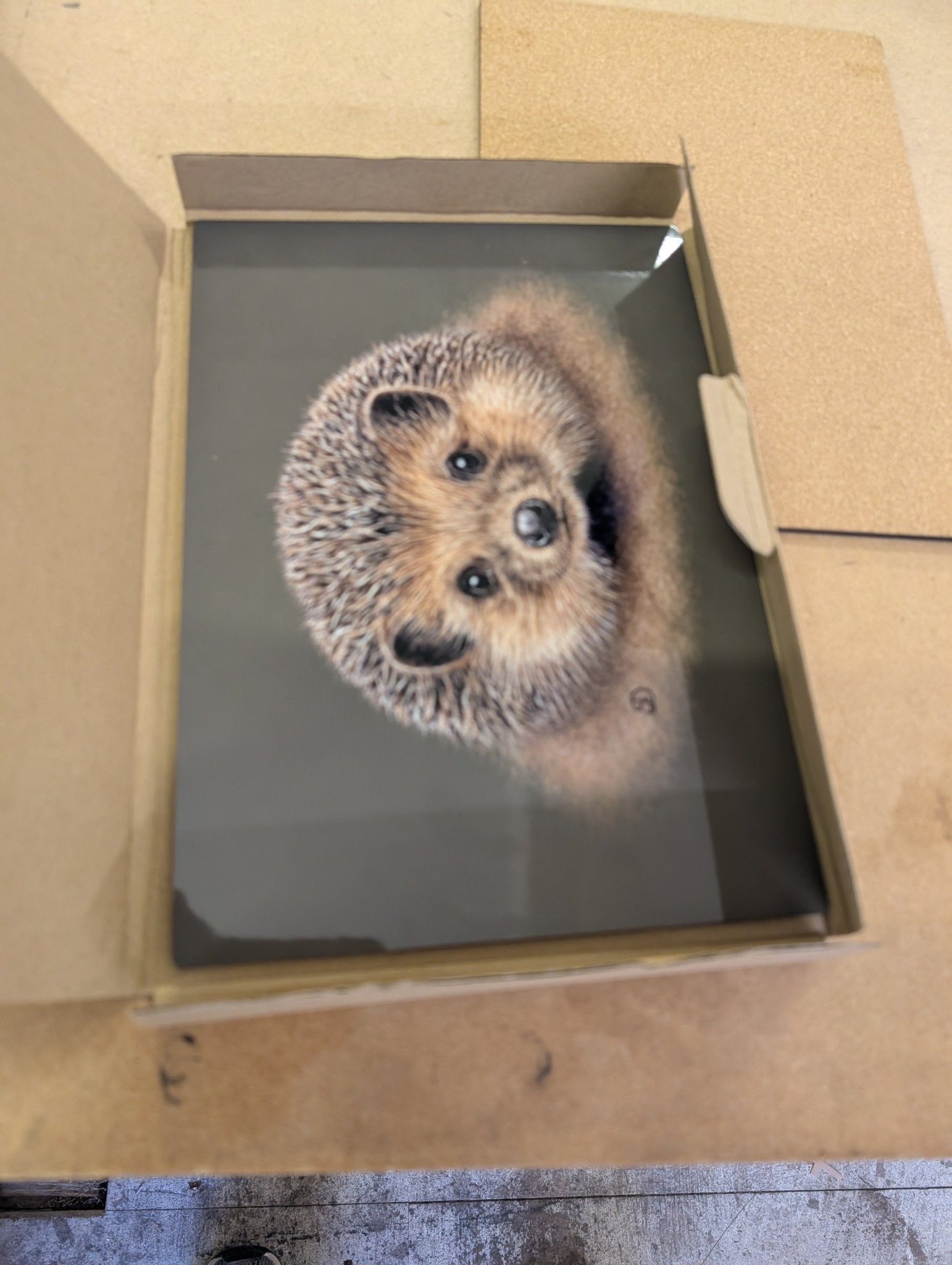 20x28cm Placemat/tablemat - Gloss finish with cork backing and box - artcoasterprinting