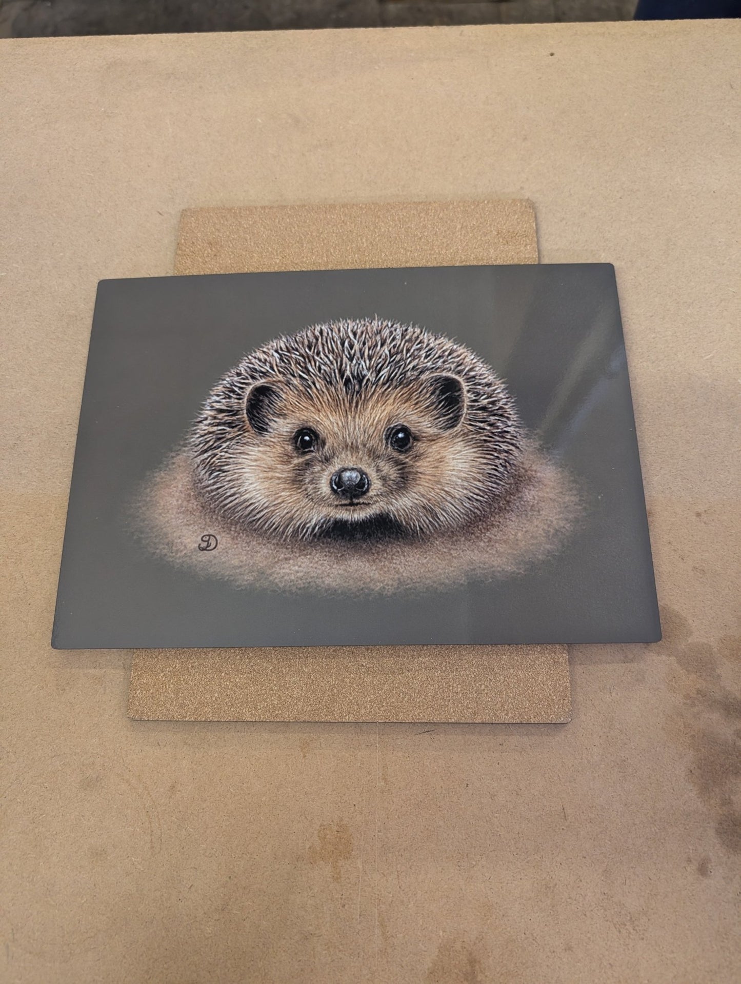 20x28cm Placemat/tablemat - Gloss finish with cork backing and box - artcoasterprinting