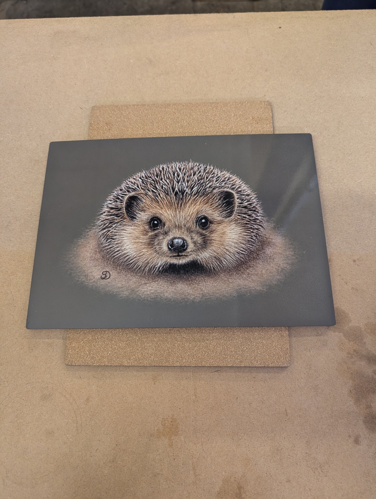 20x28cm Placemat/tablemat - Gloss finish with cork backing and box - artcoasterprinting