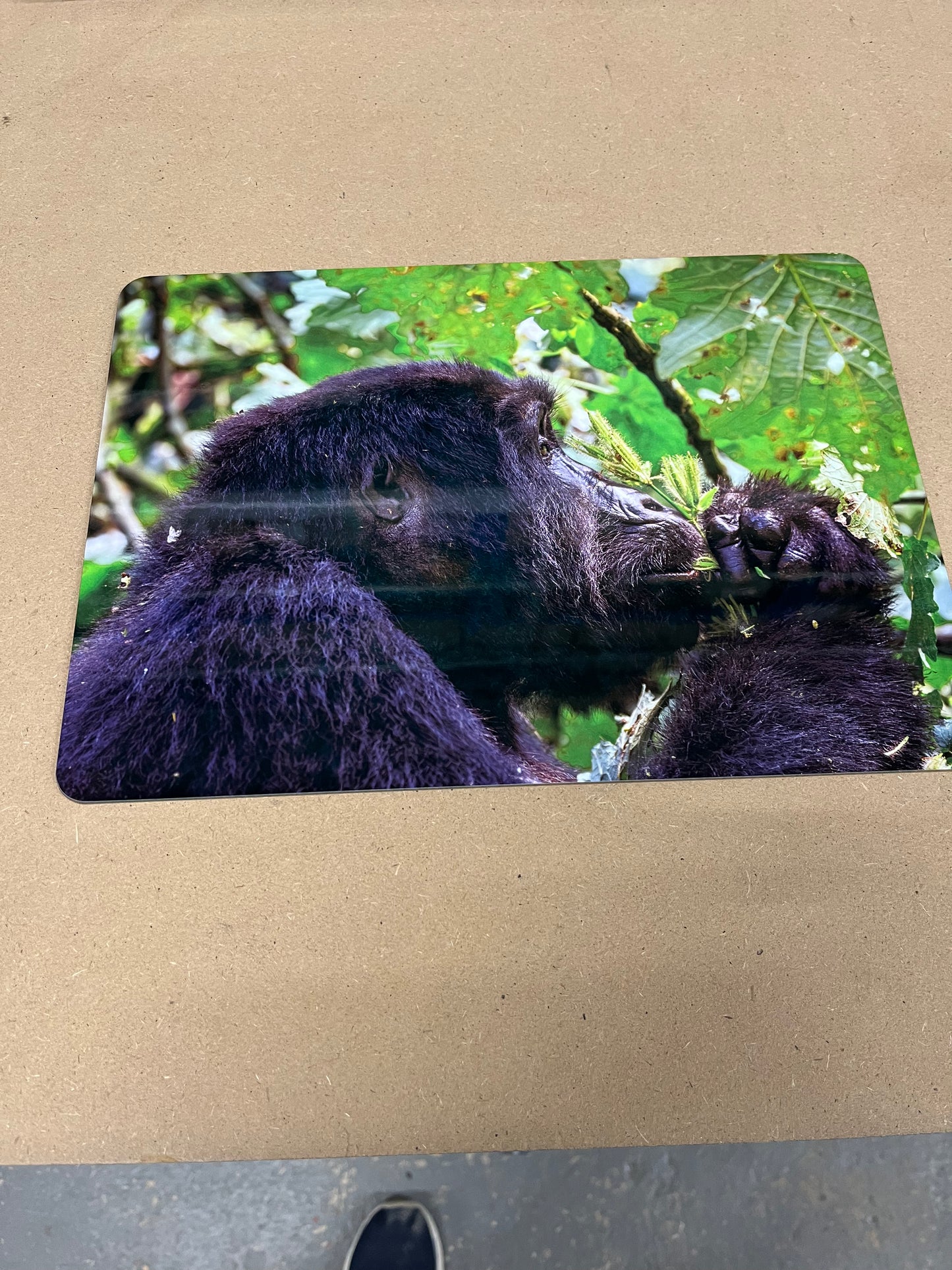 Large 23x32cm Placemat/tablemat - Gloss finish