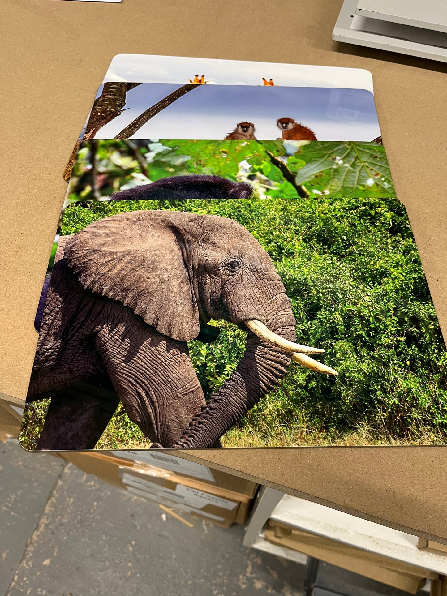 Large 23x32cm Placemat/tablemat - Gloss finish