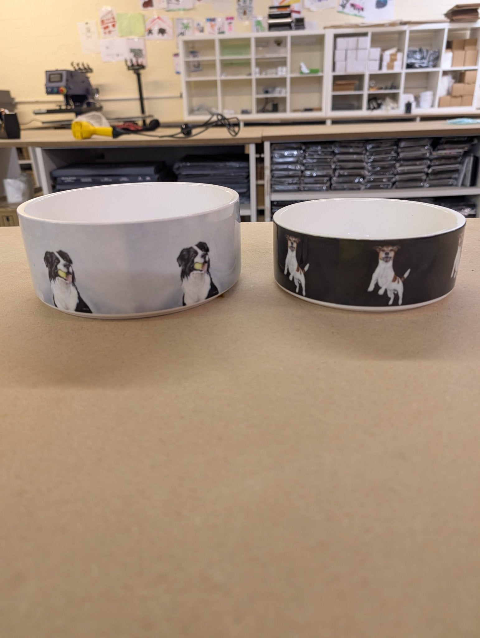 Large Pet Bowl - artcoasterprinting