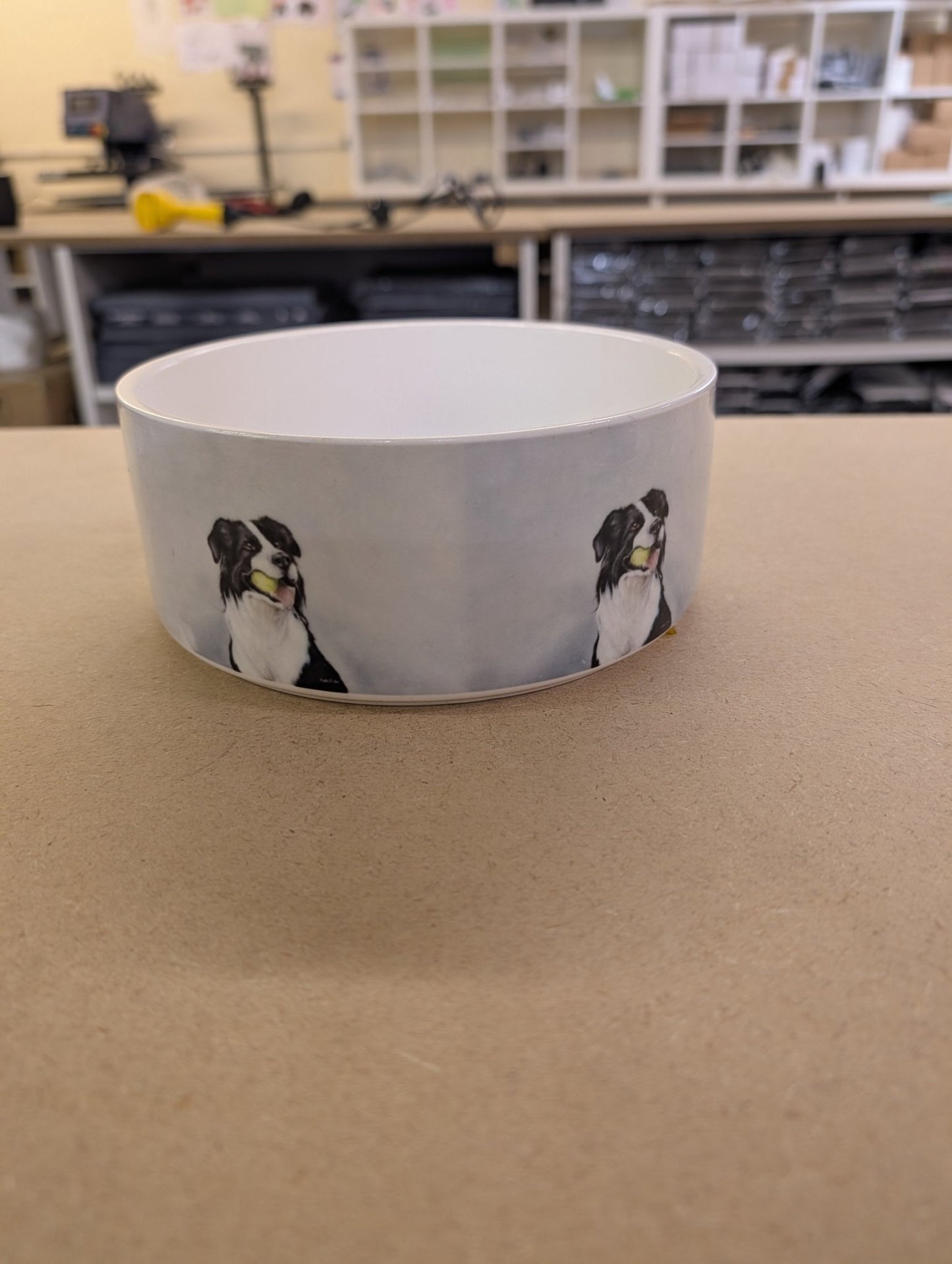 Large Pet Bowl - artcoasterprinting