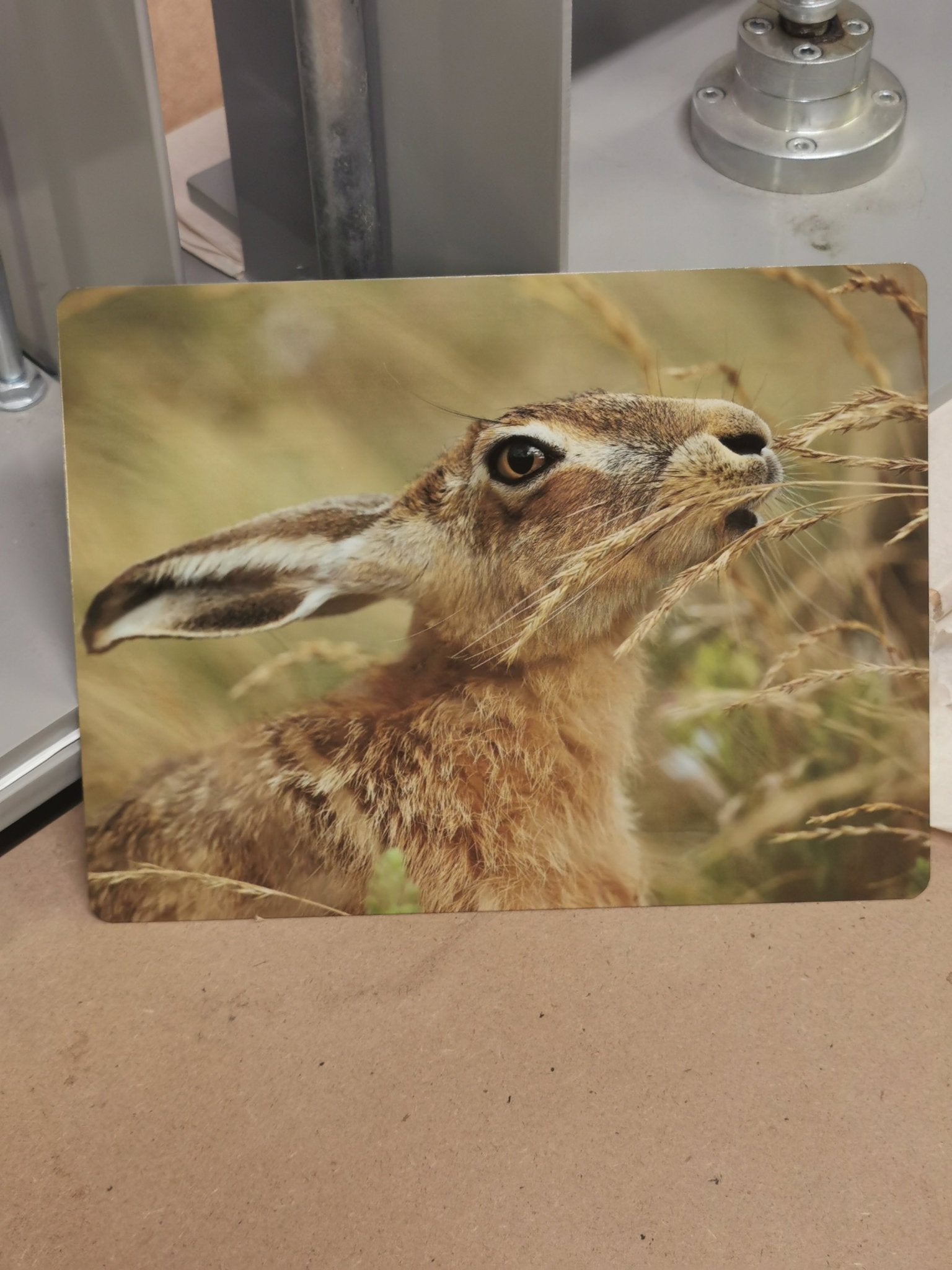 Metal Panels with rounded corners (approx A5) - 200 mm x 150 mm (8*6 inch square) - artcoasterprinting